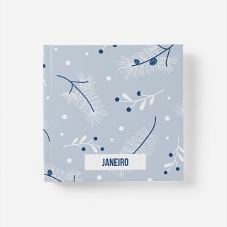Álbum de Janeiro